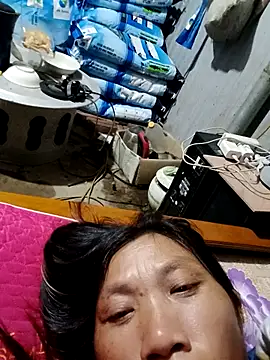 bella-la online show from 11-11-25, 12:00