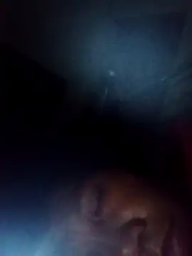 bella-la online show from 11-22-25, 11:03