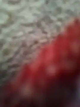 bigtelugubhama online show from 02-08-26, 09:07