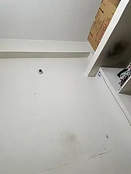 bigtelugubhama online show from 12-14-25, 11:54