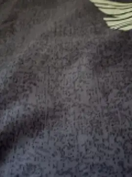 bigtelugubhama online show from 02-25-26, 07:19