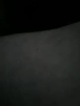 Snapshot of EchoVibe_86 chatting on 03-11-26, 05:07 EchoVibe 86 online show from 03-11-26, 05:07
