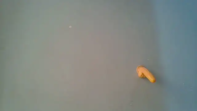 sashachin online show from 03-19-26, 06:02