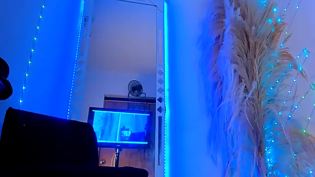 wild best online show from 11-08-25, 08:01