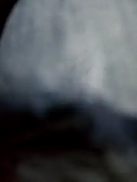 Snapshot of negro2828 chatting on 10-27-25, 11:05 negro2828 online show from 10-27-25, 11:05