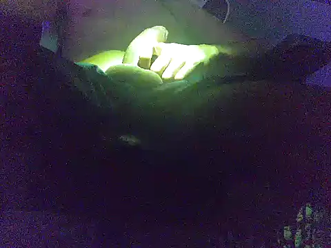 analice32456 online show from 03-03-26, 06:53