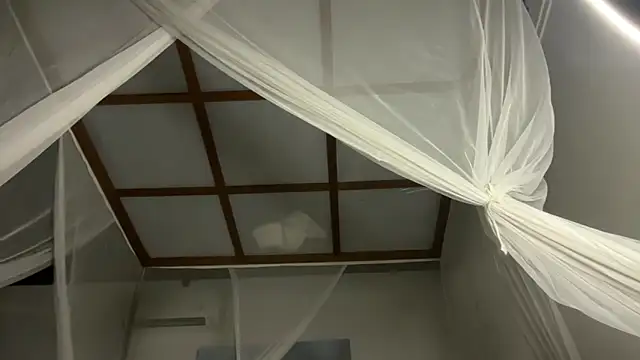 Bae Belle online show from 12-21-25, 02:24