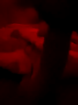 secretnovin7 online show from 10-31-25, 06:48