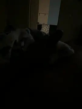 Trini2600 online show from 11-11-25, 07:36