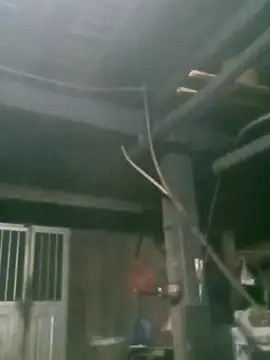 matbiec- online show from 11-19-25, 10:32