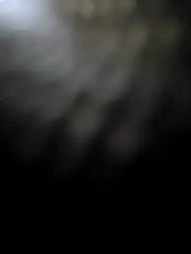 hotestanal online show from 12-16-25, 09:24