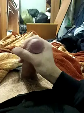 Snapshot of KaTorino chatting on 02-03-26, 11:21 KaTorino online show from 02-03-26, 11:21