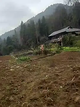 tian7788 online show from 02-17-26, 02:53