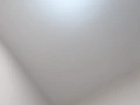 Snapshot of qianxin2007 chatting on 11-04-25, 12:31 qianxin2007 online show from 11-04-25, 12:31