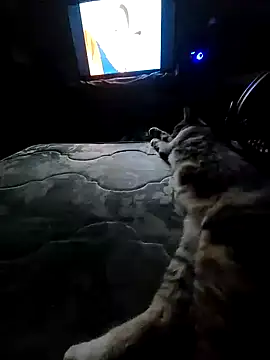 Snapshot of AntoniGM25 chatting on 10-31-25, 01:13 AntoniGM25 online show from 10-31-25, 01:13