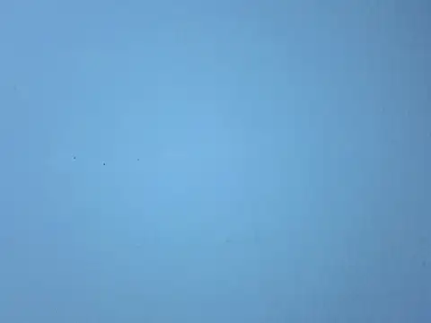 LALIS1405 online show from 11-13-25, 10:57