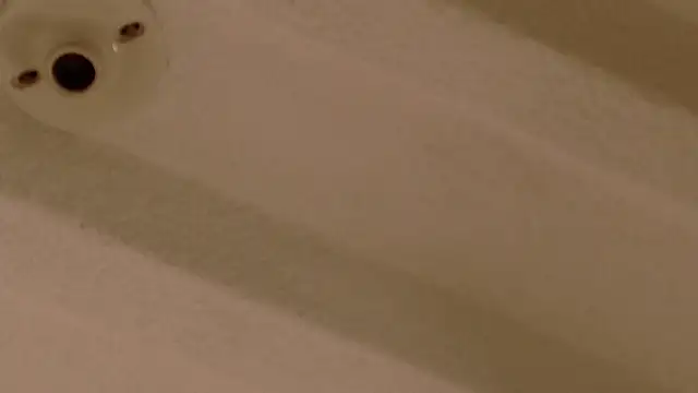 Zara Nova online show from 12-17-25, 11:32