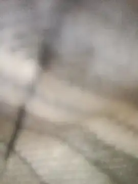 Pallu Asha online show from 03-01-26, 04:23