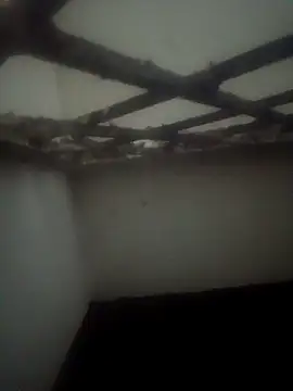 Pallu Asha online show from 03-15-26, 03:52