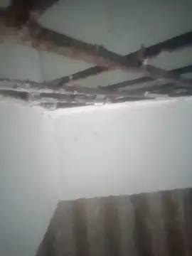 Pallu Asha online show from 03-19-26, 12:54