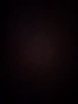 Pallu Asha online show from 03-18-26, 03:31