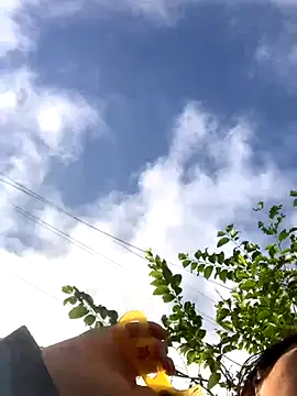 bi-bo123 online show from 11-23-25, 01:26