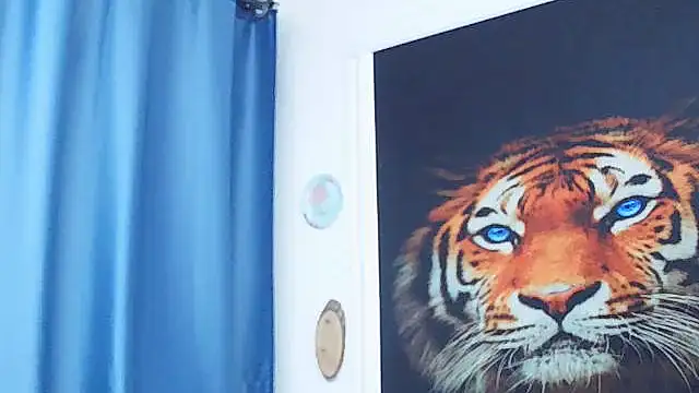 MassiveBoobsxxxx online show from 03-01-26, 07:19