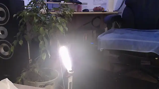 metalhead1970xh online show from 02-08-25, 06:33