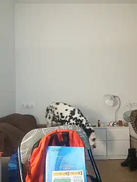 Dominantepollon89 online show from 02-28-26, 01:38