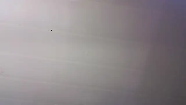 malen fitnessmilf online show from 03-23-26, 11:43