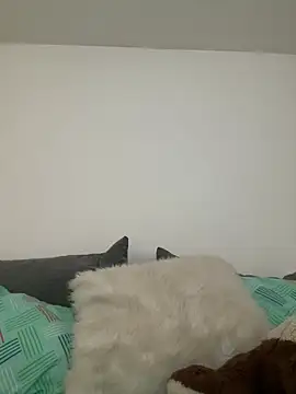 Ania rose online show from 02-07-26, 05:54