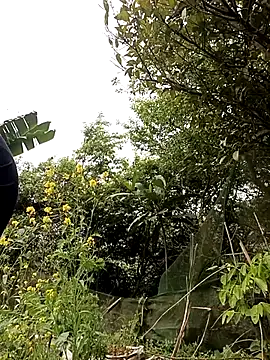 Alice-567 online show from 03-10-26, 06:28