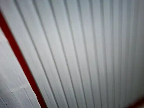 xwildflowerx online show from 03-03-26, 09:22