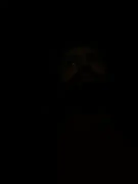 Snapshot of ivanmasliuk chatting on 11-01-25, 04:56 ivanmasliuk online show from 11-01-25, 04:56