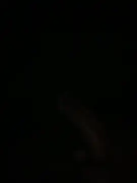 Manfredini607452 online show from 02-04-26, 01:11