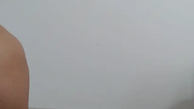 goddessvenus444 online show from 03-02-26, 03:41