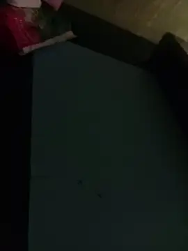 Misiek11123 online show from 11-04-25, 09:29