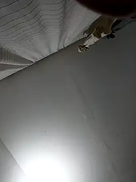 naughtygoddesss  online show from 02-08-26, 04:10