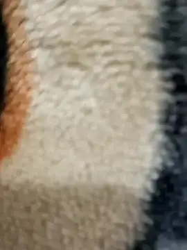 Snapshot of Radhaji88 chatting on 11-11-25, 02:12 Radhaji88 online show from 11-11-25, 02:12