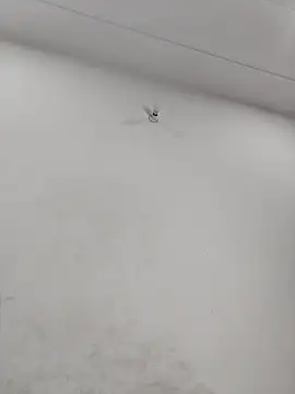 Snapshot of Radhaji88 chatting on 01-14-26, 06:55 Radhaji88 online show from 01-14-26, 06:55