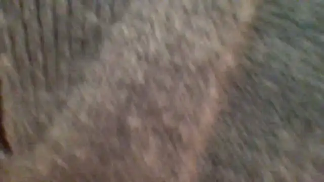 Snapshot of metissjeunn chatting on 02-08-26, 05:43 metissjeunn online show from 02-08-26, 05:43