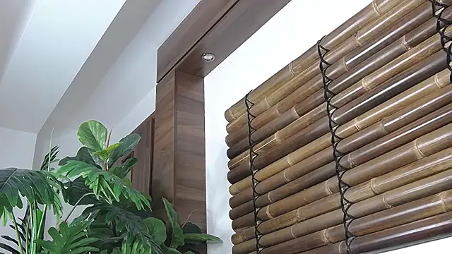 FayeSlate online show from 11-12-25, 05:00