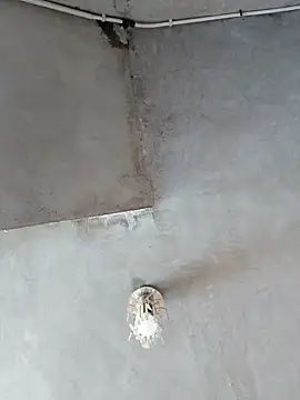 PaulinaLondra2 online show from 11-11-25, 02:01