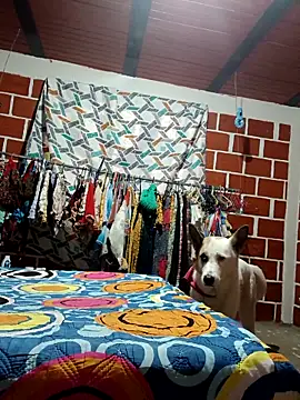 PaulinaLondra2 online show from 12-19-25, 12:07