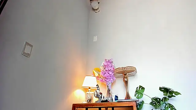 lucian davii online show from 02-27-26, 04:40