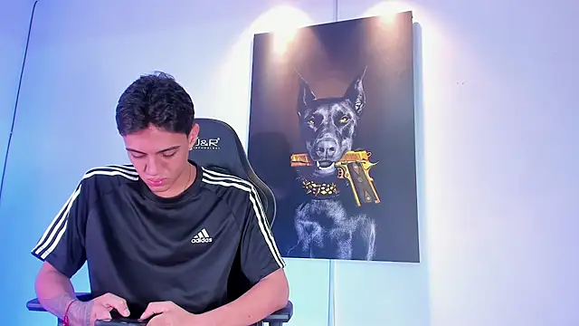 stiven 24cm online show from 11-18-25, 11:59