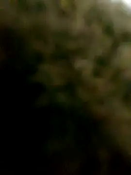 Imad mrwa online show from 11-14-25, 06:33