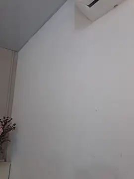 annie  20 online show from 11-29-25, 12:05