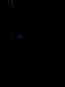 Darkkknet online show from 11-09-25, 10:36