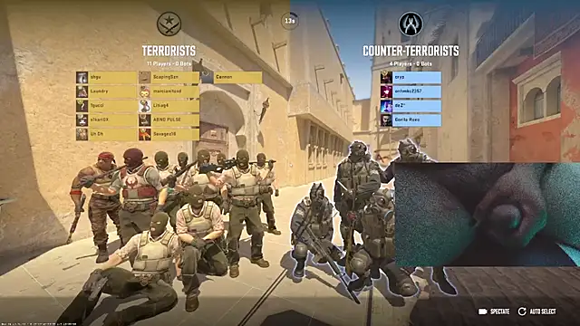 PixelPlaymate online show from 11-10-25, 12:04